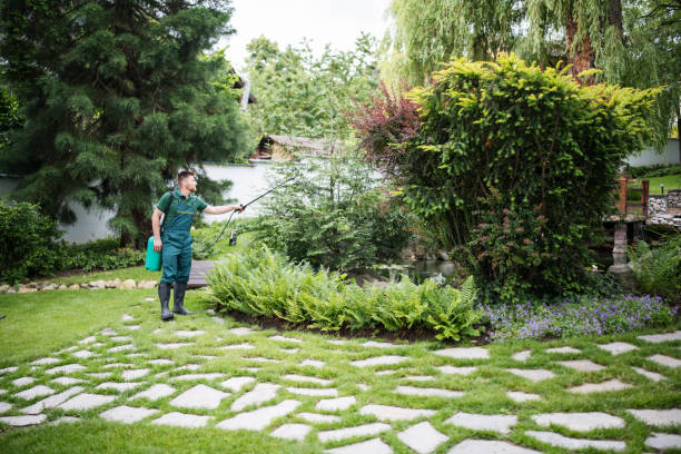 Pest Prevention Services in Webster Groves, MO