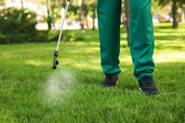 Best Emergency Pest Control  in Webster Groves, MO