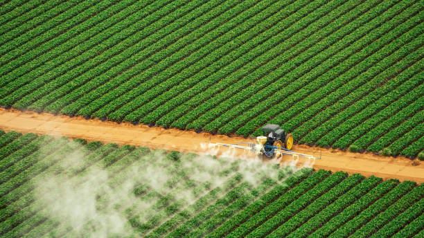 Best Commercial Pest Control Services  in Webster Groves, MO