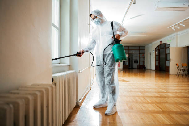 Best Affordable Pest Control Services  in Webster Groves, MO