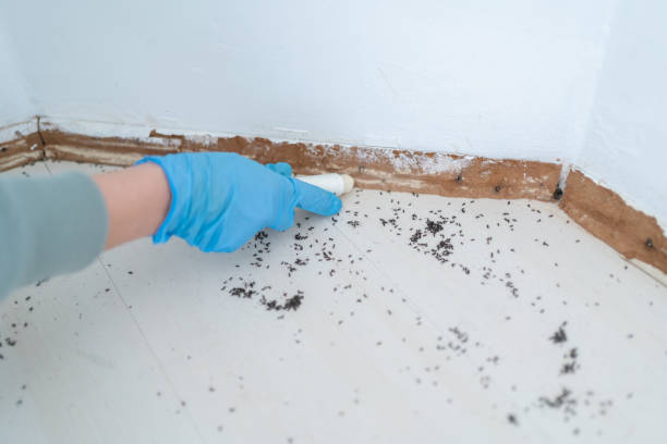 Best Wildlife Control Services  in Webster Groves, MO