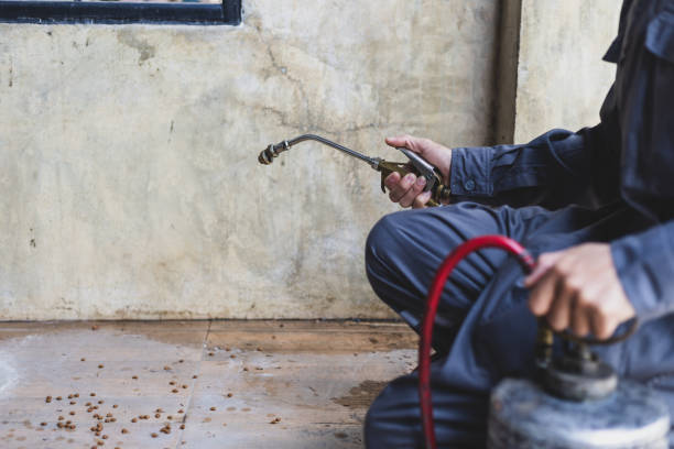 Best Affordable Pest Control Services  in Webster Groves, MO